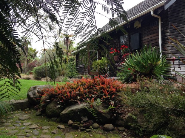 Lush colours at Te Kainga Marire