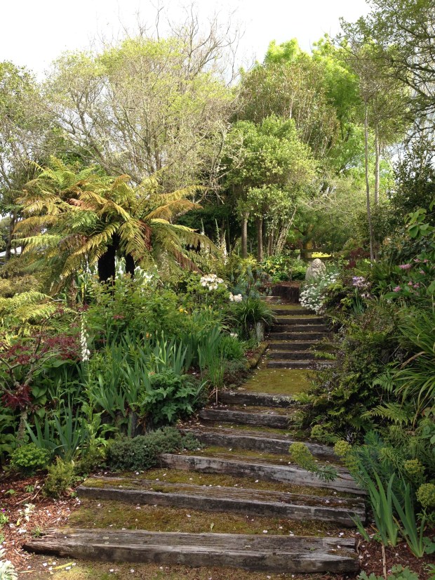 Mossy steps at Puketarata