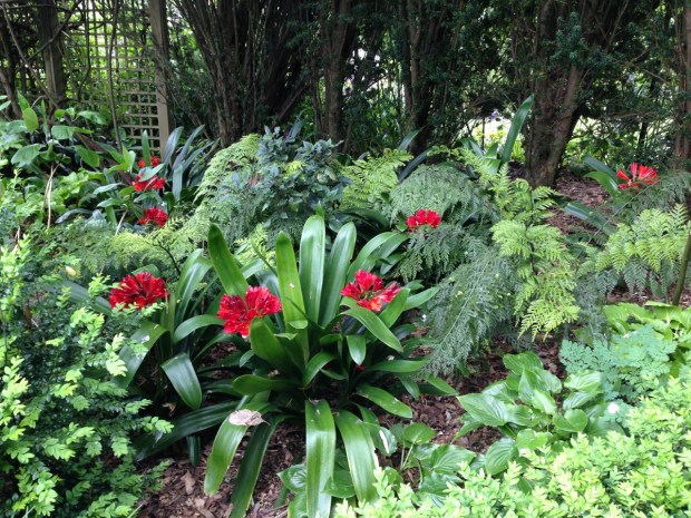 Oakley Garden in Hawera