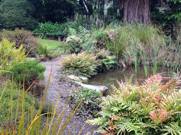 Pond at Te Kainga Marire