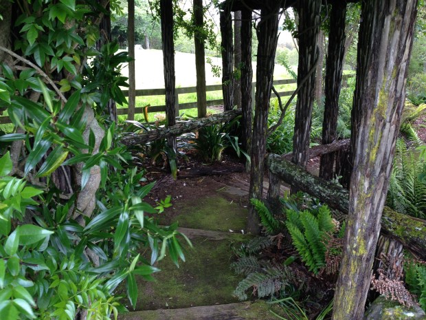 Shady walkway made from tree free trucks at Puketarata