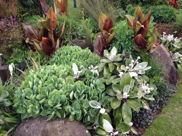 Silver and bronze colour combinations at Puketarata