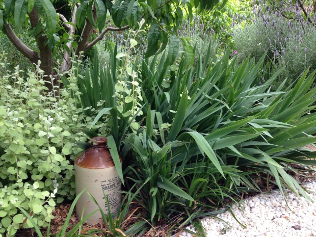 Stoneware jar garden ornamentation at Woodcote