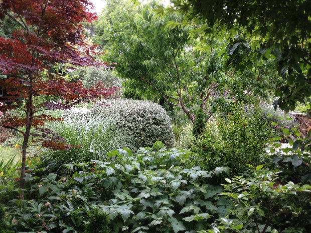 Stunning texture, form and colour contrasts at Woodcote