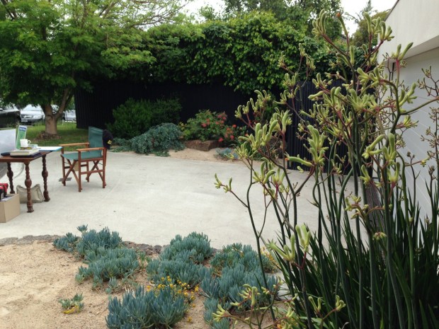 Succulents and natives in Melbourne