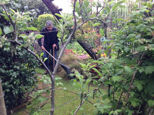Tekainga Marire Garden in New Plymouth