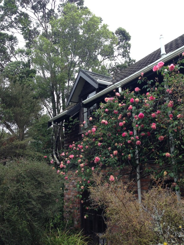 The house at Te Kainga Marire, New Plymouth