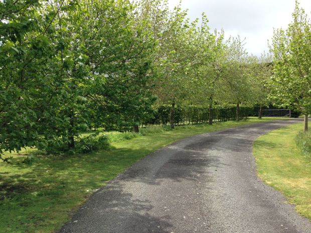 The meandering driveway up to Gravetye Garden