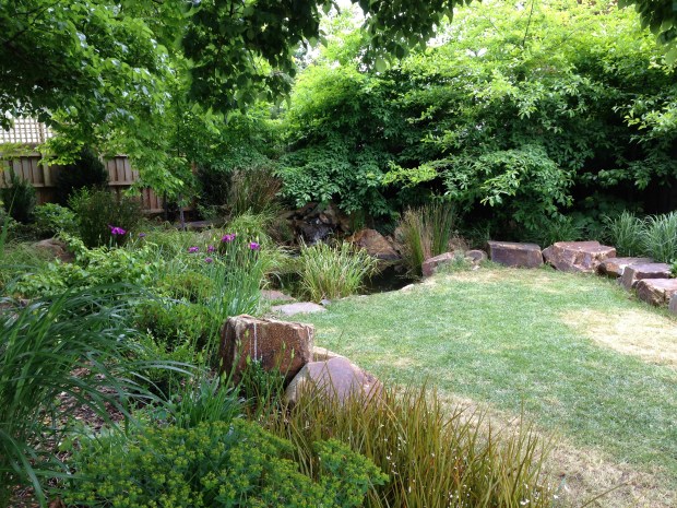 The pond at Woodcote