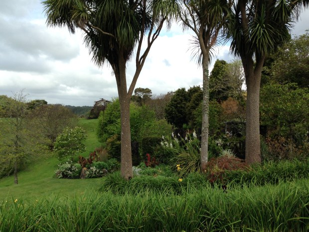 View beyond the cabbage trees at Puketarata