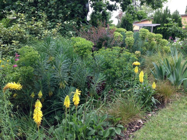 Yellow and purple border at Woodcote