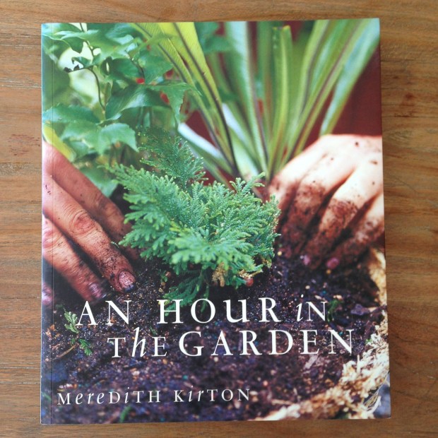 An hour in the garden by Meridith Kirton