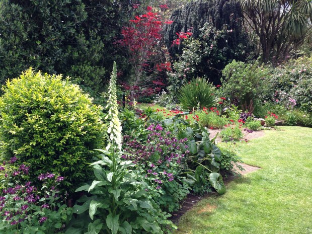 Bold textures and colours at the Oakley garden