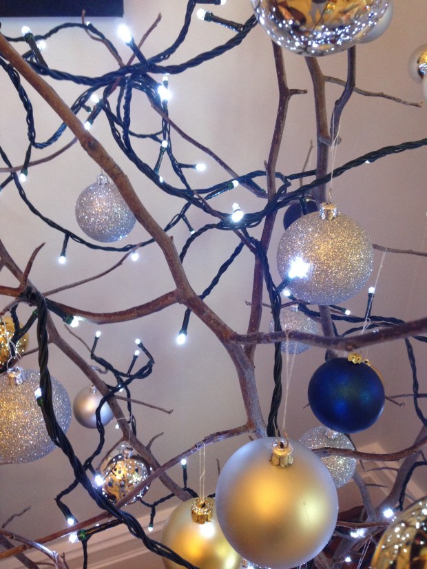 Crab apple stems are highly branched