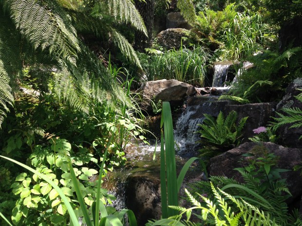 Naturalistic waterfall in the Rock Garden at Mount Tomah Botanic Garden