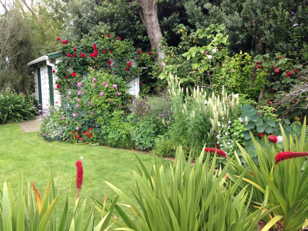Oakley Garden, Hawera