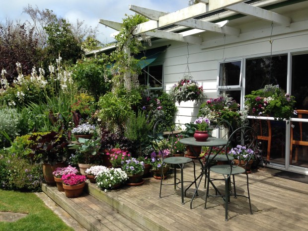 Pots and hanging baskets on the terrace at the Oakley garden