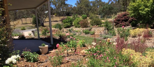 Queanbeyan Garden