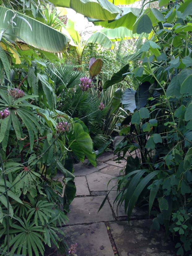 Straight pathways give hints of the old rose garden at Great Dixter