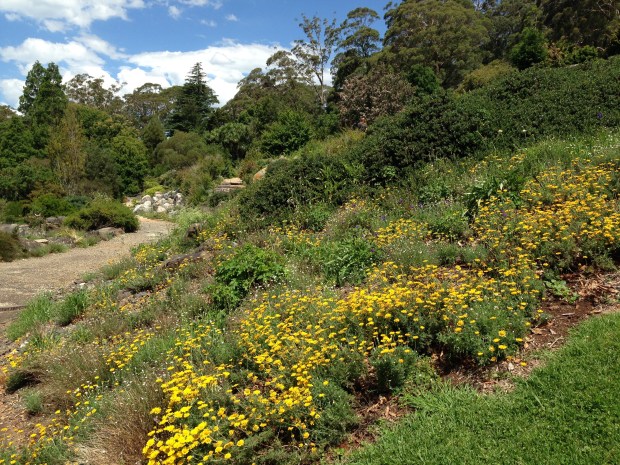 The Rock Garden at Mount Tomah Botanic Garden