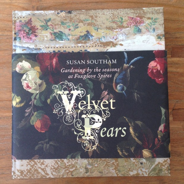 Velvet Pears by Susan Southam