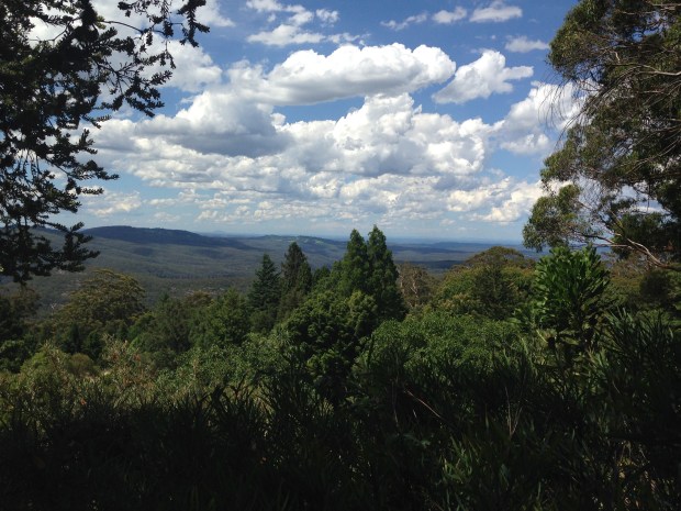 View out to the Blue Mountains from Mount Tomah Botanic Garden