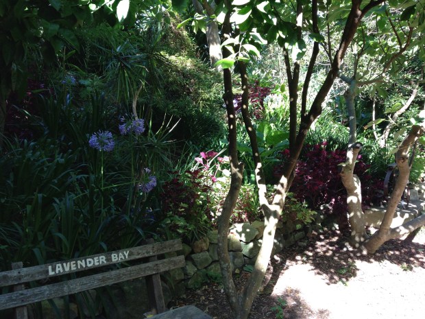 Wendy Whiteley's Secret Garden, Lavender Bay, Sydney