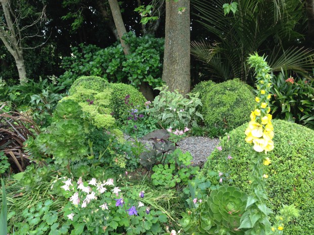 Woodland walk at the Oakley garden, Hawera