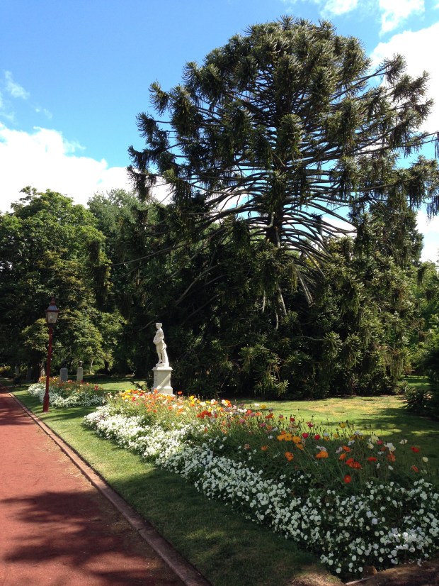 Bedding plants at Ballarat Botanic Gardens. Janna Schreier