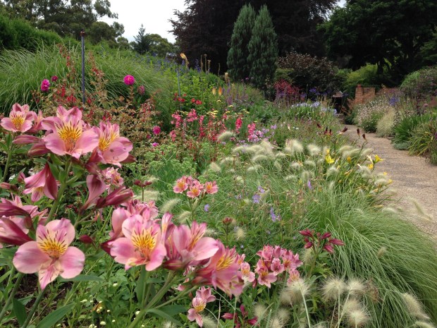Cool border at Cloudehill. Janna Schreier