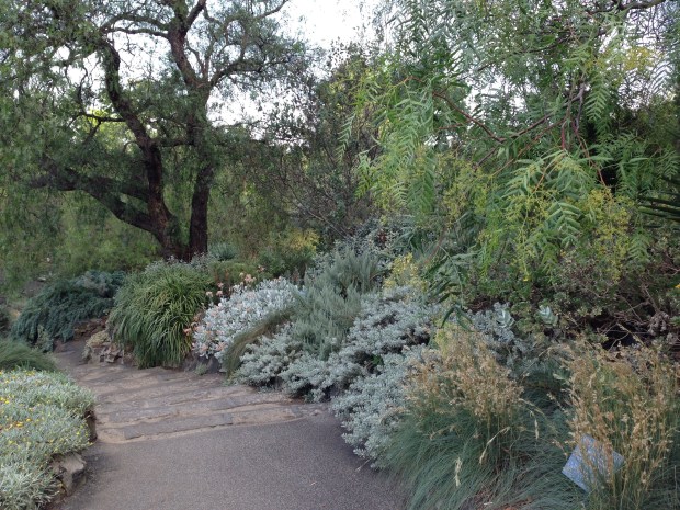 Grey Garden at Melbourne Botanic Garden. Janna Schreier