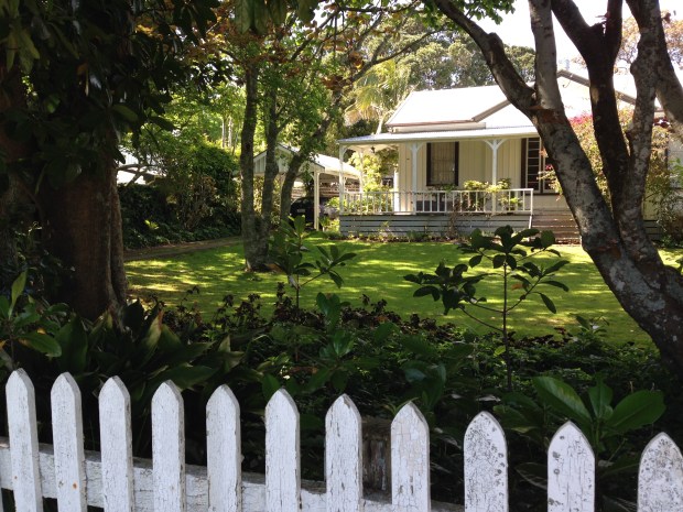 Homely garden in New Plymouth Janna Schreier