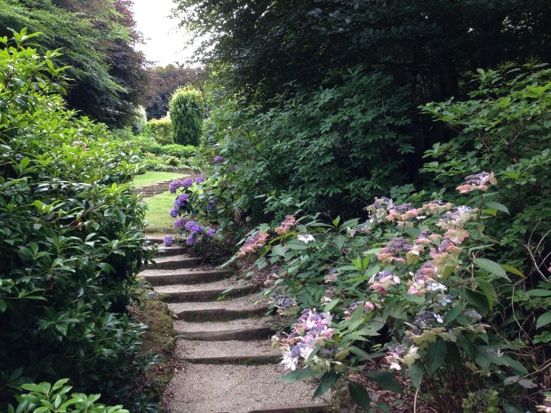 Looking up to the Azalea steps at Cloudehill. Janna Schreier