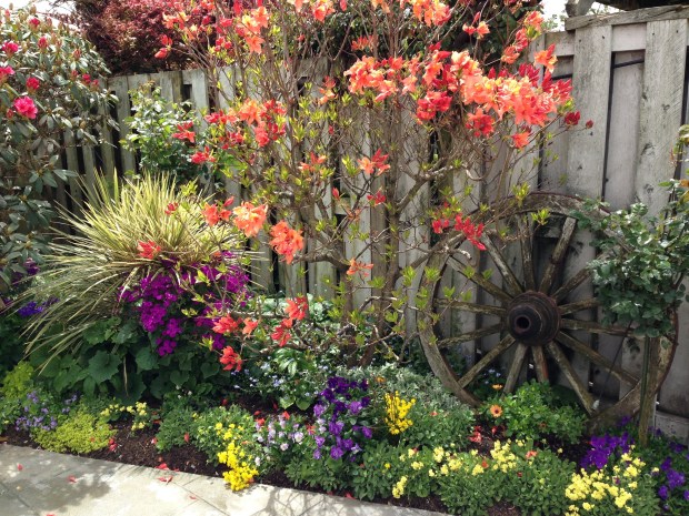 Mary's Place garden in Hawera Janna Schreier