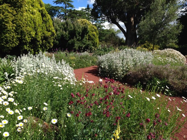 Mixed perennials at Ballarat Botanic Gardens. Janna Schreier