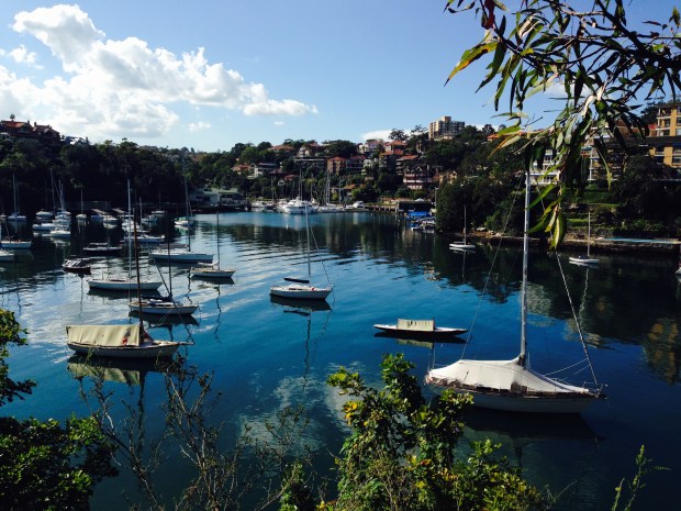 Mosman Bay Marina from Cremorne Point. Janna Schreier