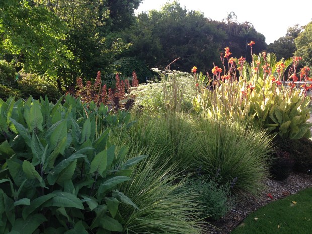 Orange and lime colours in the newly planted bed at the Melbourne Botanic Garden. Janna Schreier