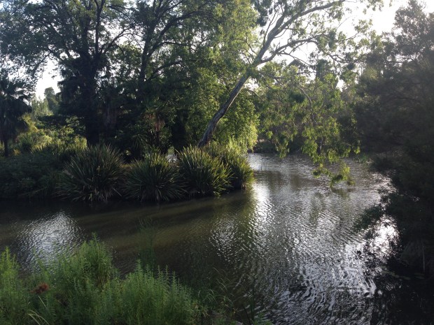 Ornamental Lake at Melbourne Botanic Garden. Janna Schreier
