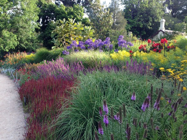 Perennial Border at Melbourne Botanic Garden. Janna Schreier