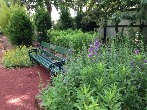 Seat set into the garden at Ballarat Botanic Gardens. Janna Schreier