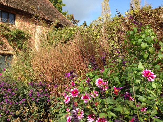 Sissinghurst Purple Border Janna Schreier