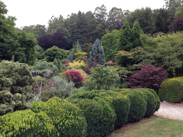 Tree colour at Cloudehill. Janna Schreier