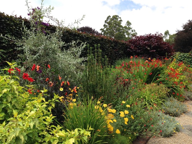 Warm border at Cloudehill. Janna Schreier