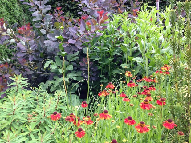 Wonderful colour and texture combinations at Cloudehill. Janna Schreier