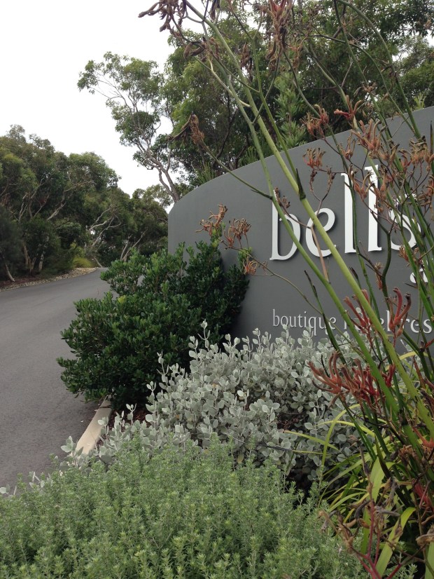 Bells of Killcare. Janna Schreier