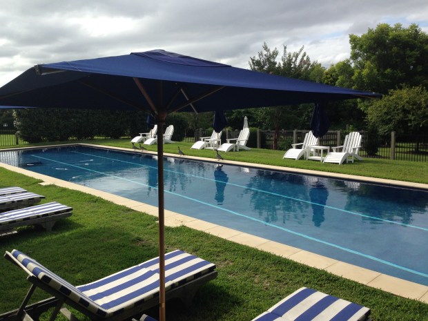 Ducks by the pool at Bells. Janna Schreier