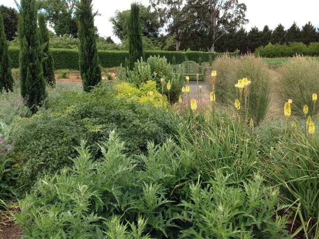 Green and yellow border at Lambley Nursery. Janna Schreier