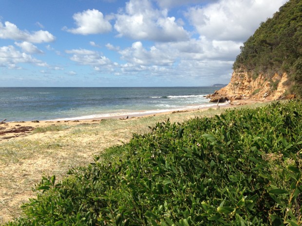 Maitland Beach, Central Coast. Janna Schreier