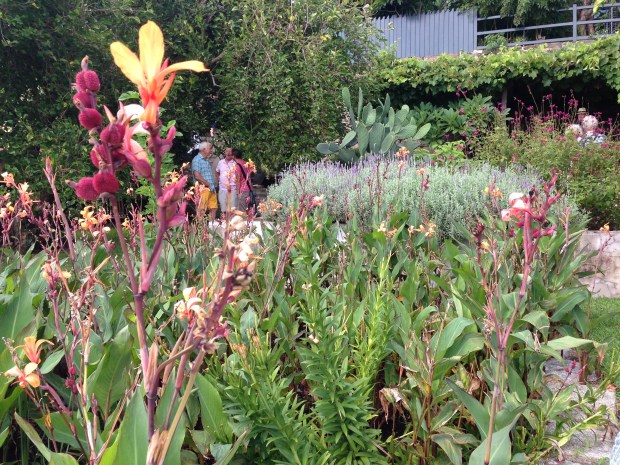 Mass of pink, orange and purple flowers at Wyoming. Janna Schreier