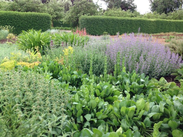 Mixed border at Lambley Nursery. Janna Schreier
